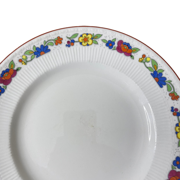 Myott & Sons The Orient Bright Flower Pattern 10 Inch Dinner Plate England 1844 - Picture 2 of 11